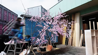 造花の桜打ち枝装飾美術